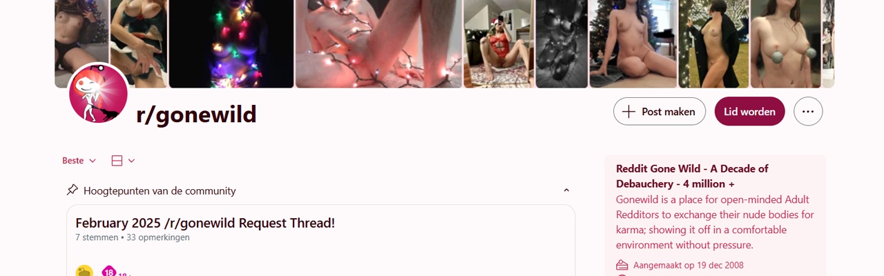 Reddit NSFW: A List of Best SubReddits (2025)